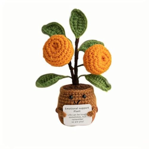 Lvguang Handgehäkelter Blumentopf mit Mini-Strickblumen - Motivierende Bürodeko mit Ermutigungskarte, Positive Geschenke für Arbeitskollegen Lvguang Handgehäkelter Blumentopf mit Mini-Strickblumen - Motivierende Bürodeko mit Ermutigungskarte, Positive Geschenke für Arbeitskollegen von Lvguang