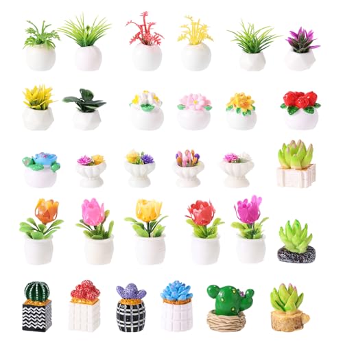 Lyreh 30stk Miniatur Topfpflanzen, Mini Künstlichen Pflanzen und Blumen Figuren Winzige Bonsai Grünpflanzen Ornamente Puppenhaus Zubehör für Mikro Landschaftsgärten DIY-Basteldekoration Lyreh 30stk Miniatur Topfpflanzen, Mini Künstlichen Pflanzen und Blumen Figuren Winzige Bonsai Grünpflanzen Ornamente Puppenhaus Zubehör für Mikro Landschaftsgärten DIY-Basteldekoration von Lyreh
