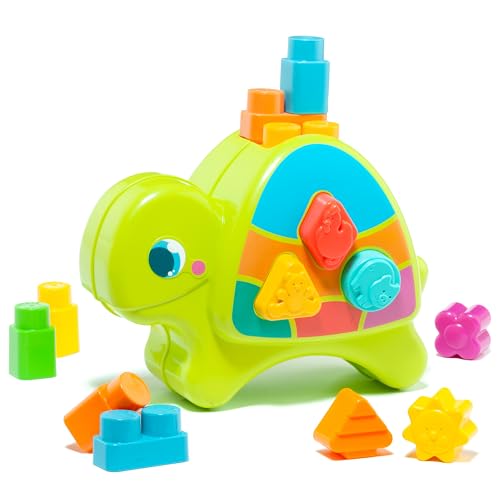 M MOLTO Moló Interaktives Spielzeug, 57 x 27,5 x 97 cm, Schildkröte, 12 Teile M MOLTO Moló Interaktives Spielzeug, 57 x 27,5 x 97 cm, Schildkröte, 12 Teile von M MOLTO