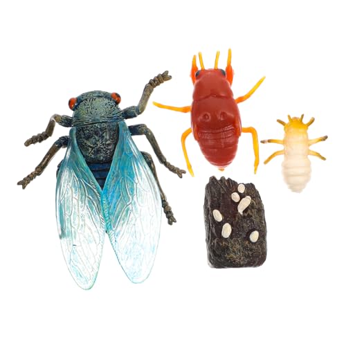 MAGICLULU 1 Satz Cicada Wachstumszyklus Modell für Lehrmittel für Naturwissenschaft Plastikspielzeug und Vorstellungskraft als Deko und zur Einschulung MAGICLULU 1 Satz Cicada Wachstumszyklus Modell für Lehrmittel für Naturwissenschaft Plastikspielzeug und Vorstellungskraft als Deko und zur Einschulung von MAGICLULU