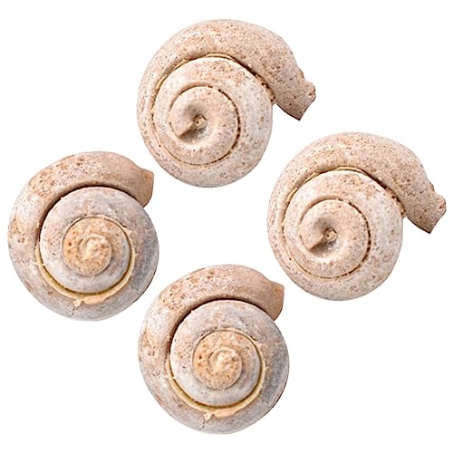 MAGICLULU 1 Satz Teiliges Schneckenfossil Dekorationsset Für Unterricht Pädagogisches Lernspielzeug Für Studenten Für Klassenzimmer Wissenschaftliche Präsentationen Sammlungen 4 Stück MAGICLULU 1 Satz Teiliges Schneckenfossil Dekorationsset Für Unterricht Pädagogisches Lernspielzeug Für Studenten Für Klassenzimmer Wissenschaftliche Präsentationen Sammlungen 4 Stück von MAGICLULU