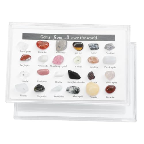 MAGICLULU 1 Schachtel Erz Proben Felsen Natürlich Steine Schreibtisch Kleine Kristallmasse Steinsammlung Farbiger Stein Kleiner Unregelmäßiger Stein Kleine Kiesel Kunststoff-box Bunt MAGICLULU 1 Schachtel Erz Proben Felsen Natürlich Steine Schreibtisch Kleine Kristallmasse Steinsammlung Farbiger Stein Kleiner Unregelmäßiger Stein Kleine Kiesel Kunststoff-box Bunt von MAGICLULU