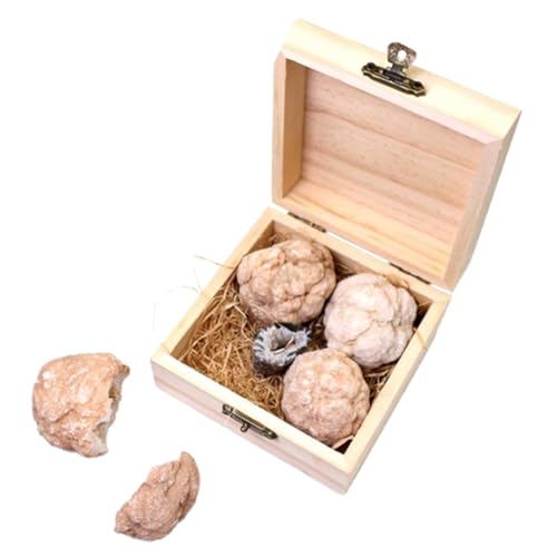 MAGICLULU 1 Schachtel Kinderspielzeug Bausatz zum Graben von Steinen Geoden-Kit Mineralgesteinsset Rock-Sammlung Bergbau-Set für Edelsteinabbau graben Kristallachaterz von MAGICLULU