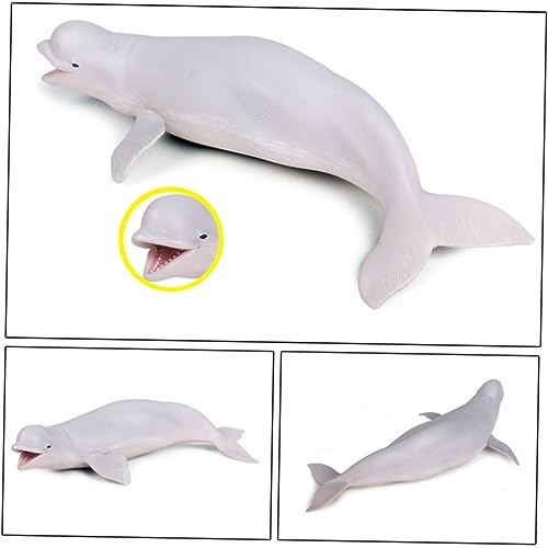 MAGICLULU 1 Stück Meerestiermodell hühner kinderknallzeug wohnungseinrichtung Marine Tierfigur wohnungsdeko Plastikhandwerksmodell Wal-Modell Lernspielzeug für Weiß MAGICLULU 1 Stück Meerestiermodell hühner kinderknallzeug wohnungseinrichtung Marine Tierfigur wohnungsdeko Plastikhandwerksmodell Wal-Modell Lernspielzeug für Weiß von MAGICLULU