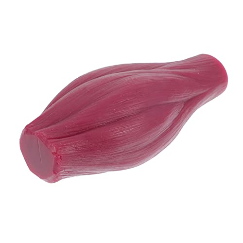 MAGICLULU 1 Stück Muskelmodell muskulös Erwachsene Gymnastik voll menschlich Fitnessstudio Muskelreplik-Anzeigemodell 1 Pfund Nachbaumodell Lehrmodell Muskeldarstellungsmodell Kieselgel von MAGICLULU