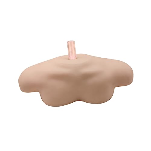 MAGICLULU 1 Stück Simulation Schulter Modellständer für Kosmetiksalon Heimgebrauch Lehrmittel für Friseure Wiederverwendbar Einfach zu Bedienen für Tägliche Anwendungen MAGICLULU 1 Stück Simulation Schulter Modellständer für Kosmetiksalon Heimgebrauch Lehrmittel für Friseure Wiederverwendbar Einfach zu Bedienen für Tägliche Anwendungen von MAGICLULU