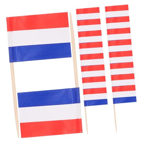 MAGICLULU 100 Stück Fahnenzahnstocher Geburtstagsdeko kuchen dekoration Mini Flaggen Dekoration für Geburtstagsfeier Flaggen Picks Party dekoriert Land Zahnstocher-Flags Flaggenpicks hölzern von MAGICLULU