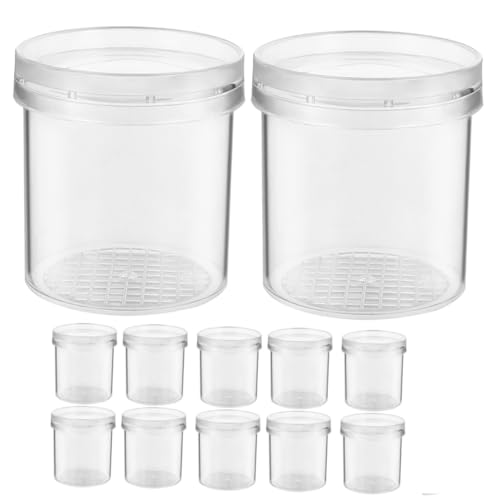 MAGICLULU 15 Stück Boxen Insekten-Beobachtungsbecher klein Insektentöpfe drinnen Bug-Viewer für Lehrinstrument Fütterungskäfig Fänger Futterversorgung Tierkäfig Plastik von MAGICLULU