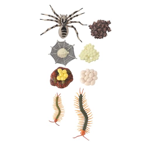 MAGICLULU 2 Sätze Lebenszyklus Tierische Simulationsmodelle Tarantel und Hundertfüßler Lernspielzeug für Biologische Kognition Bildungsdekoration aus Kunststoff von MAGICLULU