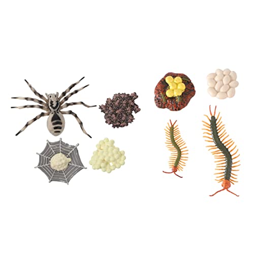 MAGICLULU 2 Sätze Teiliges Lernspielzeug für Tarantel Modellen Kognitive Entwicklung durch Naturwissenschaften Sicheres Kunststoffmaterial für Kreatives Spiel MAGICLULU 2 Sätze Teiliges Lernspielzeug für Tarantel Modellen Kognitive Entwicklung durch Naturwissenschaften Sicheres Kunststoffmaterial für Kreatives Spiel von MAGICLULU