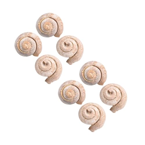 MAGICLULU 2 Sätze Teiliges Schneckenfossil Lehrmaterial Für Paläontologie Dekoration Für Klassenzimmer Kinderzimmer Für Bildungszwecke Partys Anschauliches Lernwerkzeug 4 Stück * 2 MAGICLULU 2 Sätze Teiliges Schneckenfossil Lehrmaterial Für Paläontologie Dekoration Für Klassenzimmer Kinderzimmer Für Bildungszwecke Partys Anschauliches Lernwerkzeug 4 Stück * 2 von MAGICLULU