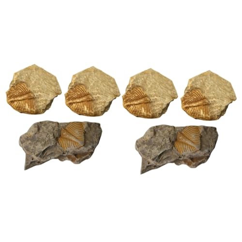 MAGICLULU 2 Sätze Trilobiten- Dinosaurier Leopard Gecko Tank Zubehör Mit Haube Gecko-pflanzen Prähistorische Fossilien Dekorative Fossilien Tischschmuck Requisiten Lehren 3 Stück * 2 MAGICLULU 2 Sätze Trilobiten- Dinosaurier Leopard Gecko Tank Zubehör Mit Haube Gecko-pflanzen Prähistorische Fossilien Dekorative Fossilien Tischschmuck Requisiten Lehren 3 Stück * 2 von MAGICLULU