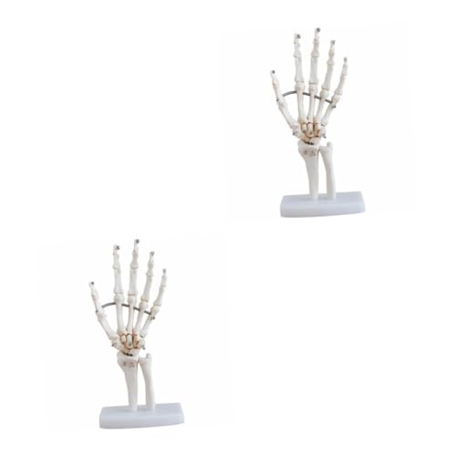 MAGICLULU 2 Stück Handknochenmodell Hände menschliches handgelenkmodell realistisch werkzeug Modell der Handskelett-Gelenkgelenke Menschliches artikulierendes anatomisches Modell PVC Weiß MAGICLULU 2 Stück Handknochenmodell Hände menschliches handgelenkmodell realistisch werkzeug Modell der Handskelett-Gelenkgelenke Menschliches artikulierendes anatomisches Modell PVC Weiß von MAGICLULU