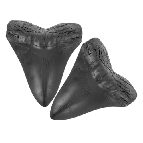 MAGICLULU 2 Stück Megalodon-Zahnfossil fossilien Dekorative Haizähne Haifischzahn Dekoration Tischdekoration mit Haifischzahn künstlich klein Haie Harzhandwerk Haifischzahn-Ornament Black MAGICLULU 2 Stück Megalodon-Zahnfossil fossilien Dekorative Haizähne Haifischzahn Dekoration Tischdekoration mit Haifischzahn künstlich klein Haie Harzhandwerk Haifischzahn-Ornament Black von MAGICLULU