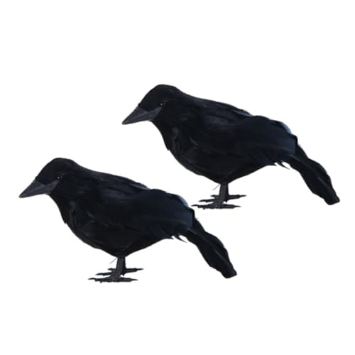 MAGICLULU 2 Stück Realistische Halloween Deko Krähen mit Federn Detailgetreue Schwarze Raben für Gruselige Party und Fotorequisiten Vielseitig als Spukdeko und Piratenmotto Geeignet MAGICLULU 2 Stück Realistische Halloween Deko Krähen mit Federn Detailgetreue Schwarze Raben für Gruselige Party und Fotorequisiten Vielseitig als Spukdeko und Piratenmotto Geeignet von MAGICLULU