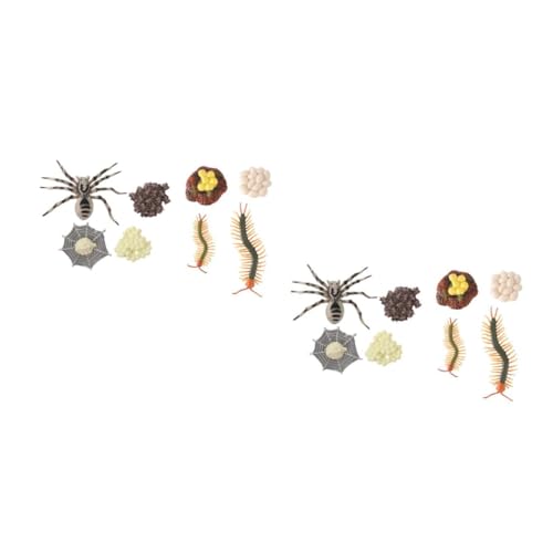 MAGICLULU 4 Sätze Tarantula Zentipede Wachstumszyklus Modelle Kognitive Lernspielzeuge für Realistische Tierlebenszyklus Darstellungen zur Kreativität Naturerkundung MAGICLULU 4 Sätze Tarantula Zentipede Wachstumszyklus Modelle Kognitive Lernspielzeuge für Realistische Tierlebenszyklus Darstellungen zur Kreativität Naturerkundung von MAGICLULU