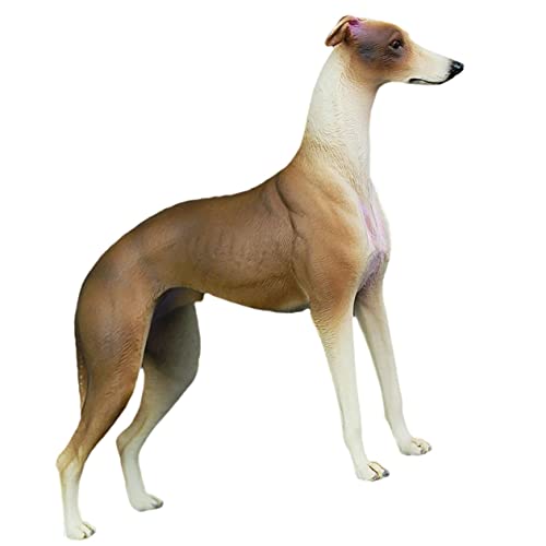 MAGICLULU Hundeschmuck Realistisches Windhundmodell Hundemodell Realistischer Tiermodell Desktop-Tier-Spielzeug Hundespielzeug Aus Kunststoff Dekorationen Kind Plastik Der Hund MAGICLULU Hundeschmuck Realistisches Windhundmodell Hundemodell Realistischer Tiermodell Desktop-Tier-Spielzeug Hundespielzeug Aus Kunststoff Dekorationen Kind Plastik Der Hund von MAGICLULU