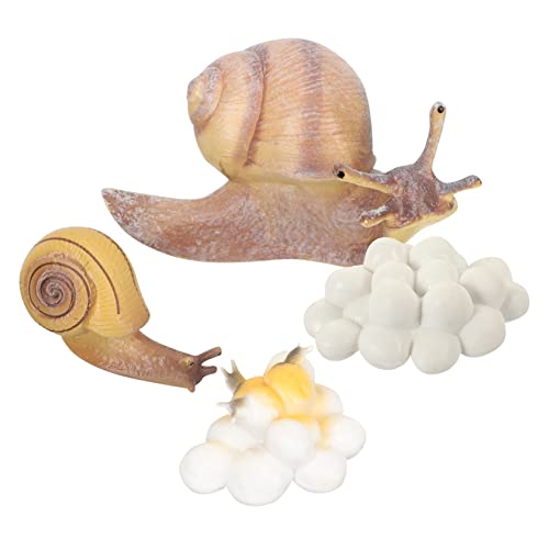 MAGICLULU Kreatives Schneckenwachstumsmodell Set für Pädagogisches Kognitiven Fähigkeiten Simulation Schneckenlebenszyklen für Frühes Lernen Dekoration Sicheres Leichtes Material für MAGICLULU Kreatives Schneckenwachstumsmodell Set für Pädagogisches Kognitiven Fähigkeiten Simulation Schneckenlebenszyklen für Frühes Lernen Dekoration Sicheres Leichtes Material für von MAGICLULU