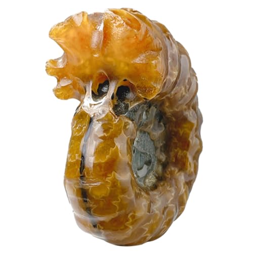MAGICLULU Kristall Ornament Dekorative Steinsammlung Multifunktionales Kristall Für Büro Geschenkidee Für Sammler Anlässe MAGICLULU Kristall Ornament Dekorative Steinsammlung Multifunktionales Kristall Für Büro Geschenkidee Für Sammler Anlässe von MAGICLULU