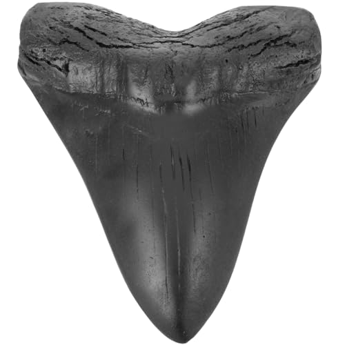 MAGICLULU Megalodon-Zahnfossil Haifischzähne Haifischzahn Sammlerstück Megalodon-Haiezahn Megalodon-Zähne deko Modelle Ornament Probe Schreibtisch Handhaben Graben Replik Student Figur Harz von MAGICLULU
