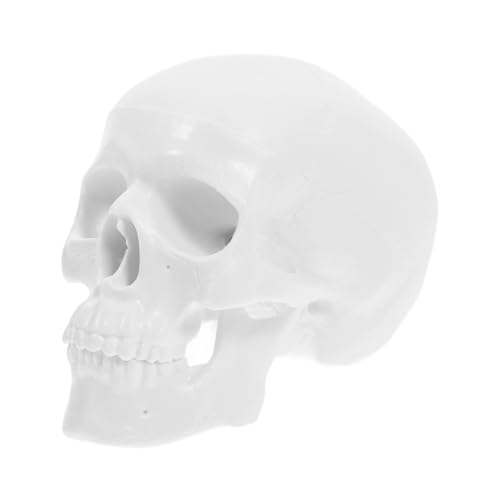 MAGICLULU Mini Schädelmodell Abnehmbares Skelett für Dekoration Kreative Projekte Realistische Details für Bildung für Halloween MAGICLULU Mini Schädelmodell Abnehmbares Skelett für Dekoration Kreative Projekte Realistische Details für Bildung für Halloween von MAGICLULU
