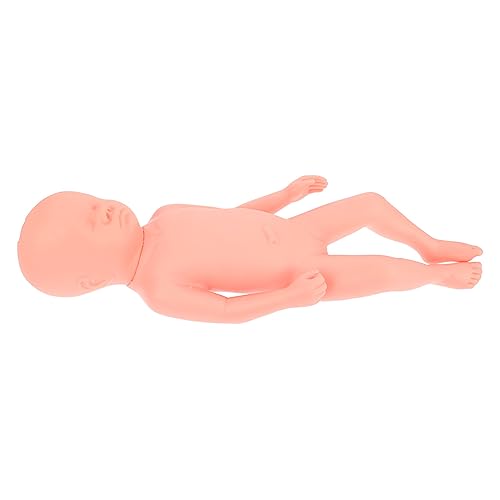 MAGICLULU Neugeborenen Modell Anatomisches Embryo Modell Trainingshilfe für Nabelschnurpflege Medizinische Ausbildung Realistische Details für Lehrzwecke für Betreuung Pflege von MAGICLULU