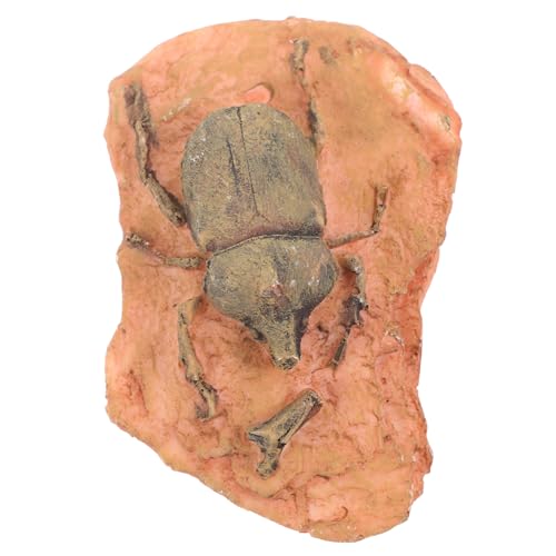 MAGICLULU Paleontologisches Insektenfossil Dekorationsobjekt für Wissenschaftsunterricht und Sammlung Hochwertige Dekoration für Vielfältige Anwendungen Sicher und Langlebig MAGICLULU Paleontologisches Insektenfossil Dekorationsobjekt für Wissenschaftsunterricht und Sammlung Hochwertige Dekoration für Vielfältige Anwendungen Sicher und Langlebig von MAGICLULU