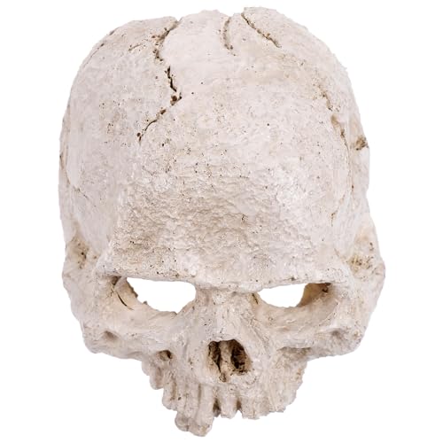 MAGICLULU Resin Kunst Human Schädelmodell Hochrealistisches Deko für Halloween Einzigartige Details Sicheres Material für Sammler und Lehrzwecke von MAGICLULU