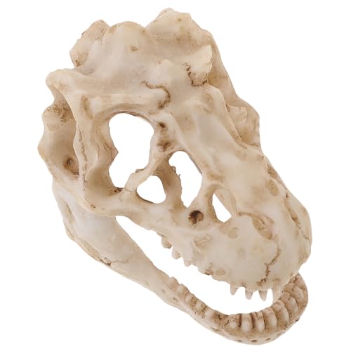 MAGICLULU Schädelmodell Party Skelett Knochen Dinosaurier-Schlafzimmerzubehör Wunderlich Dinosaurier-Schädel-Modell Schädelstatuen Modell-Dinosaurier-Schädel kleine Totenkopfskulptur Harz von MAGICLULU