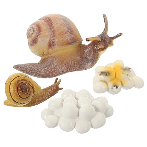 MAGICLULU Simulations Schnecken Set mit Realistischen Modellen Edukatives Lebenszyklus Tierspielzeug für Plastische Wachstumszyklus Modelle Kindgerechtes Lernspielzeug Zufälliger Stil MAGICLULU Simulations Schnecken Set mit Realistischen Modellen Edukatives Lebenszyklus Tierspielzeug für Plastische Wachstumszyklus Modelle Kindgerechtes Lernspielzeug Zufälliger Stil von MAGICLULU