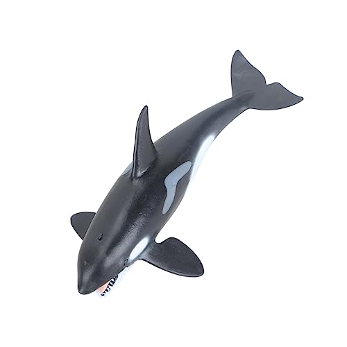 MAGICLULU Tigerwal Modell PVC Skulptur Realistische Meereslebewesen Dekoration für Aquarien Schreibtische und Zuhause Zubehör für Fischbecken und Aquarien MAGICLULU Tigerwal Modell PVC Skulptur Realistische Meereslebewesen Dekoration für Aquarien Schreibtische und Zuhause Zubehör für Fischbecken und Aquarien von MAGICLULU