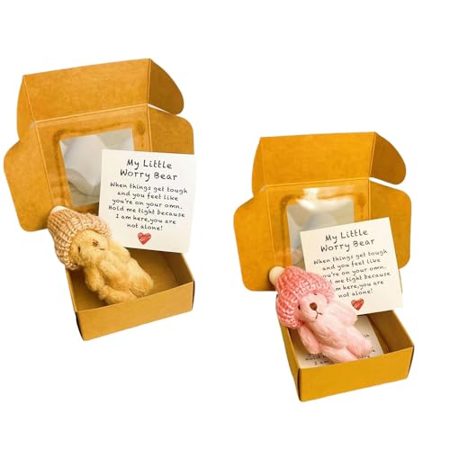 2 Sets Teddybären in Einer Box für Frauen,Kleiner Bär in Box Plüschbären, kleine Taschenkuscheltiere,Mini-Sorgenbären in Einer Box mit inspirierender Karte, Mini-Plüschbären als Mitgefühlsgeschenk von MAIPAI