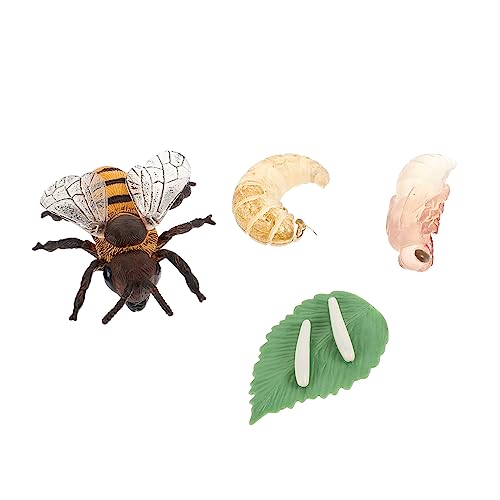 MAJORMENCH 1 Satz Simulation Bienenwachstumsmodell Pädagogisches Kognitiven Fähigkeiten von Kindern für Lehrzwecke und Rollenspiele MAJORMENCH 1 Satz Simulation Bienenwachstumsmodell Pädagogisches Kognitiven Fähigkeiten von Kindern für Lehrzwecke und Rollenspiele von MAJORMENCH