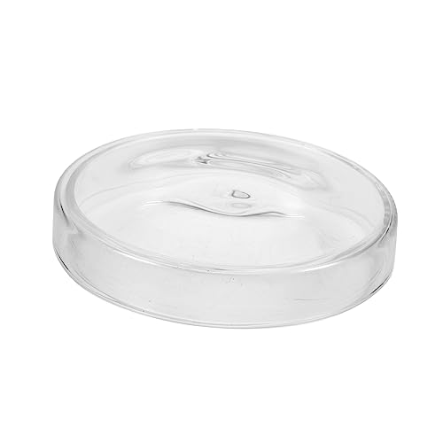 MAJORMENCH 1 Stück Petrischalen für Zellkultur Hochborosilikat Petri Dishes Transparent für Labor Experimente und Wissenschaftliche von MAJORMENCH