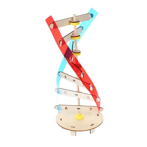 MAJORMENCH DIY DNA Modell Holz Doppelhelix Bausatz Wissenschaftliches Lernspielzeug für Klassenzimmer Unterricht Biologie Experiment Handmontage Lehrmittel von MAJORMENCH