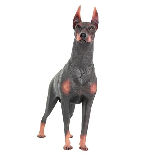 MAJORMENCH Realistisches Dobermann Hundemodell aus Kunststoff Lebensechte Tierfigur für Kinderzimmerdeko Pädagogisches und Wohnaccessoire Detailreich Robust und Farblich Naturgetreu von MAJORMENCH