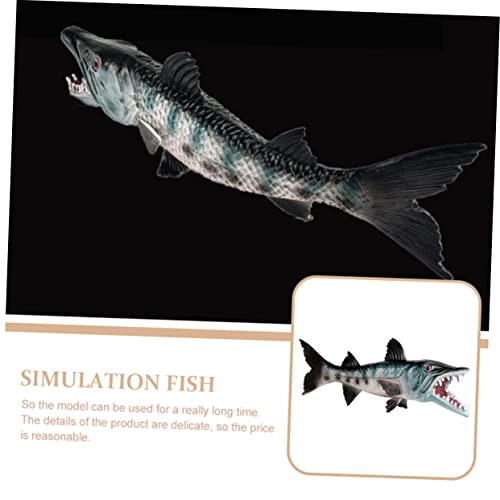 MAJORMENCH Realistisches Simulation Wolf Fisch Modell aus Solidem Kunststoff Farbenfrohes Meeres Tier für Dekoratives Aquarium Ornament Fördert und Kognitive Entwicklung Vielseitig MAJORMENCH Realistisches Simulation Wolf Fisch Modell aus Solidem Kunststoff Farbenfrohes Meeres Tier für Dekoratives Aquarium Ornament Fördert und Kognitive Entwicklung Vielseitig von MAJORMENCH