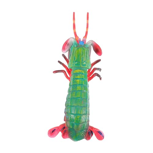 MAJORMENCH Simuliertes Shrimp Modell Realistische Meeresfigur Lernspielzeug Kognitive Entwicklung Pädagogisches Geschenk für Aquarium Dekoration Meeres Tiernachbildung von MAJORMENCH