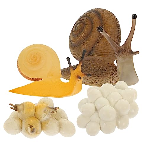 MAJORMENCH Snail Growth Cycle Modell Realistische Detailreiche Schnecken Wachstumszyklus Spielzeuge Pädagogisch Sicherer Fördert Kindliche Wahrnehmung und Lernfähigkeit MAJORMENCH Snail Growth Cycle Modell Realistische Detailreiche Schnecken Wachstumszyklus Spielzeuge Pädagogisch Sicherer Fördert Kindliche Wahrnehmung und Lernfähigkeit von MAJORMENCH