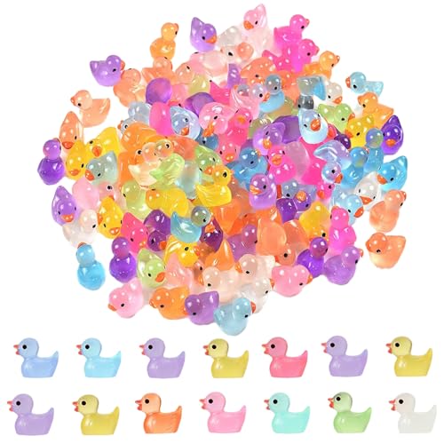 100 Stück Mini Harz Enten mit Glow in The Dark Effekt,Kleine Enten,Leuchtende Mini Ducks für Aquarium,Puppenhaus&DIY Deko,Kleine Tiere Figuren für Mikrolandschaften,Bonsai&Topfdekorationen(10 Farben) von MALOUSUN