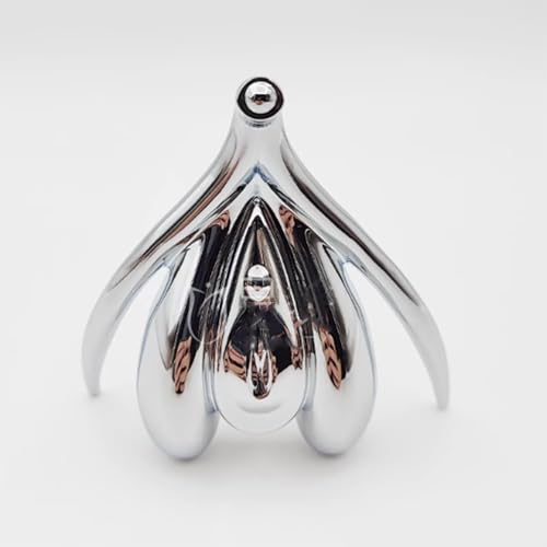 Premium Anatomisches Modell der weiblichen Klitoris – Realistische gynäkologische Puppe for Bildungszwecke(Silver) von MAPFei