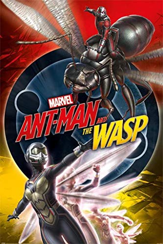 Close Up Ant-Man And The Wasp Poster Unite Close Up Ant-Man And The Wasp Poster Unite von MARVEL COMICS
