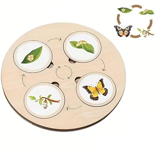 MASUCOR Lebenszyklus-Tablett, tragbares Kinderspielzeug, DIY-Frühpädagogisches Lernbrett für Vorschulkinder(Storage Bag not Included) von MASUCOR