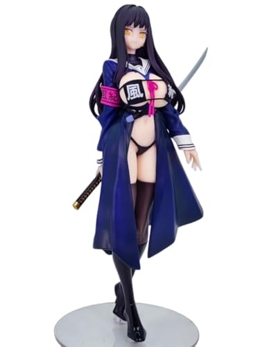 Actionfiguren/Hentai-Figur/Ecchi-Figur/Anime-Mädchen-Figur/süße Puppe/Spielzeugfigur/Cartoon-Sammlung/abnehmbare Kleidung/Sammelobjekt-Display/PVC/1/6 – 27 cm/10,6 Zoll.(Soft Chest+Accessory Kit) von MCSMlxlx
