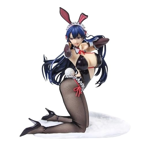 MCSMlxlx 1/4/Actionfiguren/Hentai-Figur/Ecchi-Figur/Anime-Mädchenfigur/süße Puppe/Spielzeugfigur/Cartoon-Kollektion/abnehmbare Kleidung/Sammlerstück-Display/PVC/33 cm/12,9 Zoll. von MCSMlxlx
