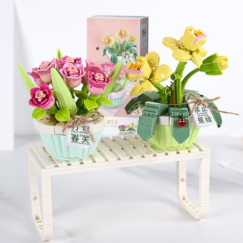 MEIEST Mini-Bausteine, Bonsai-Pflanzenmodell-Set, 2-in-1, kreative DIY-Simulation, Partikel, Blume, Sukkulenten, botanische Sammlung, Bausteine, Spielzeug, Heimdekoration (Frühling) von MEIEST