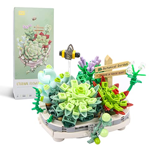 MEIEST Mini-Bausteine, Sukkulenten, Bonsai-Modell-Set, kreative DIY-Simulation, Partikelblume, botanische Sammlung, Bausteine, Spielzeug für Kinder, Erwachsene, Heimdekoration von MEIEST