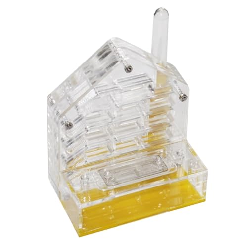 Formicarium Habitat Acryl Ant Castle Bildung Und Lernen Naturwissenschaft Kit Ant Nest Farm Ant Feeder von MEIZHITU