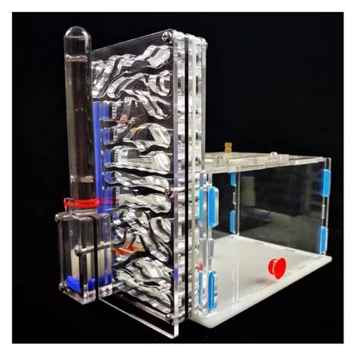 Formicarium Habitat Ameisenburg Aus Acryl, Biologieunterricht, Ameisen, Wissenschaftsbausatz Für Selbermachen, Ameisenfarm, Ameisenlebensraum Beobachten, Ameisennestfarm(Black) von MEIZHITU