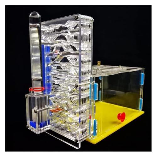 Formicarium Habitat Ameisenburg Aus Acryl, Biologieunterricht, Ameisen, Wissenschaftsbausatz Für Selbermachen, Ameisenfarm, Ameisenlebensraum Beobachten, Ameisennestfarm(Transparent) von MEIZHITU